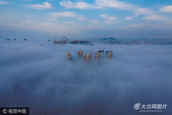 在德国当电子竞技教练,能赚多少钱?